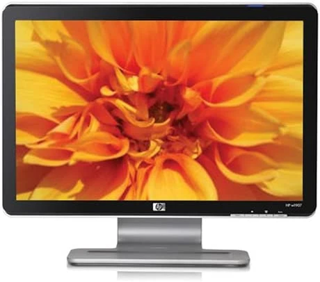 1. HP 19-Inch LCD Monitor
