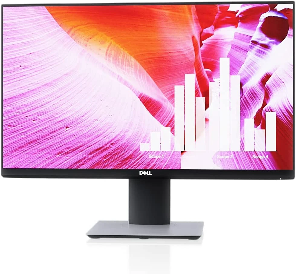 3. Dell P2419H 24 Inch LED-Backlit LCD Monitor