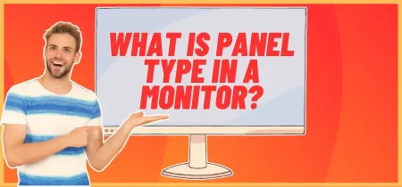 What is Panel Type in a Monitor?