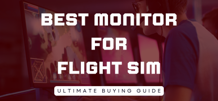 7 Best monitor for Flight Sim (Tested) 2023